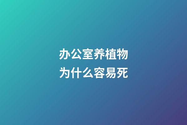 办公室养植物为什么容易死