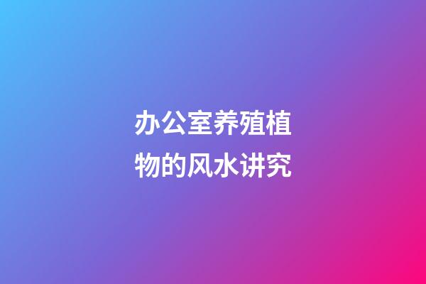 办公室养殖植物的风水讲究