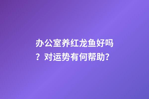 办公室养红龙鱼好吗？对运势有何帮助？