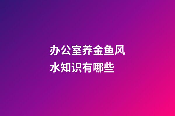 办公室养金鱼风水知识有哪些