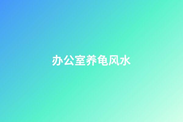 办公室养龟风水
