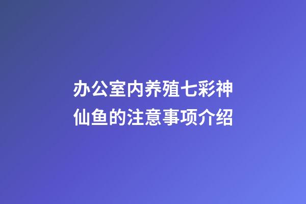 办公室内养殖七彩神仙鱼的注意事项介绍