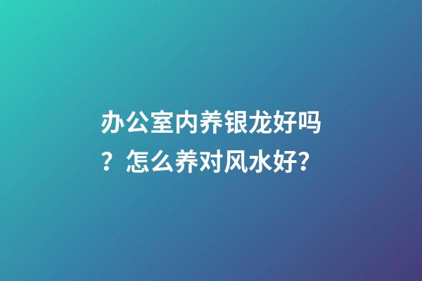 办公室内养银龙好吗？怎么养对风水好？