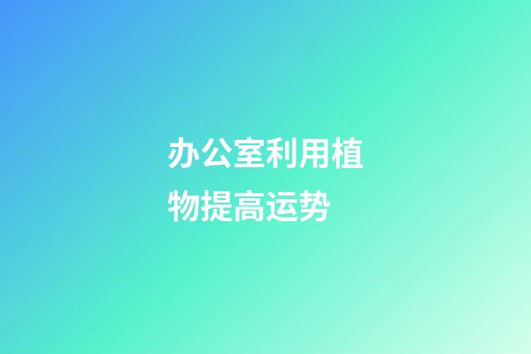 办公室利用植物提高运势
