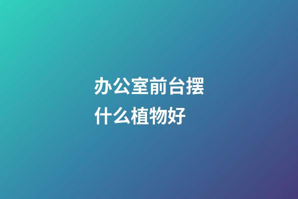 办公室前台摆什么植物好