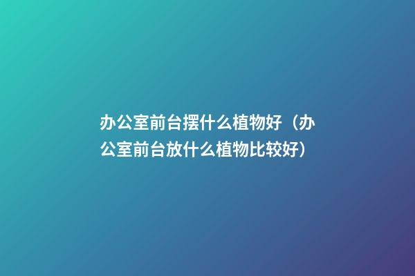 办公室前台摆什么植物好（办公室前台放什么植物比较好）