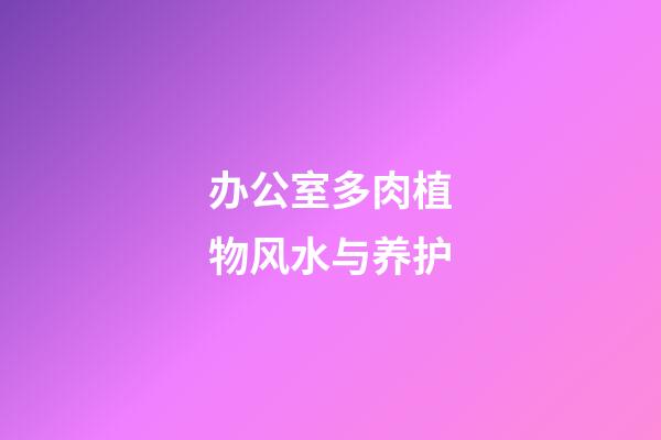 办公室多肉植物风水与养护