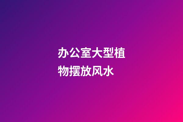 办公室大型植物摆放风水