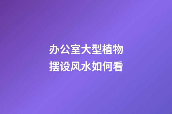 办公室大型植物摆设风水如何看