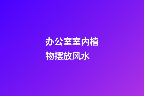 办公室室内植物摆放风水