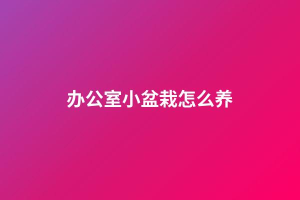 办公室小盆栽怎么养