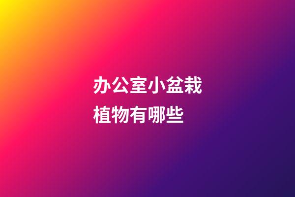 办公室小盆栽植物有哪些