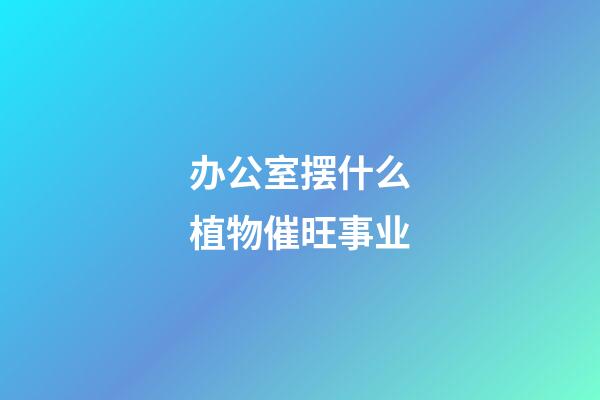办公室摆什么植物催旺事业