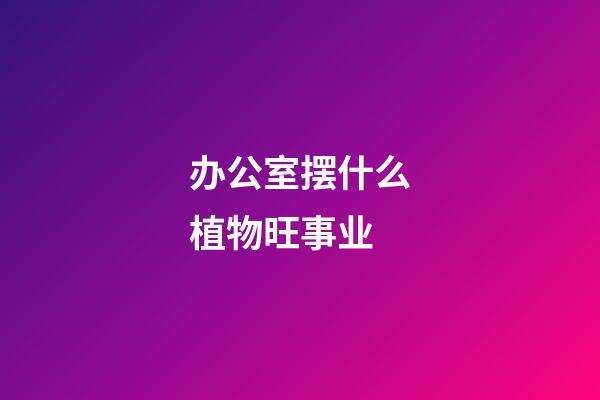 办公室摆什么植物旺事业