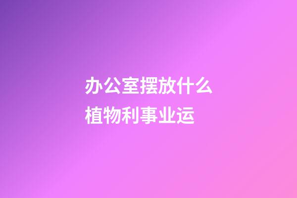 办公室摆放什么植物利事业运