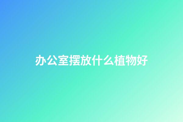 办公室摆放什么植物好