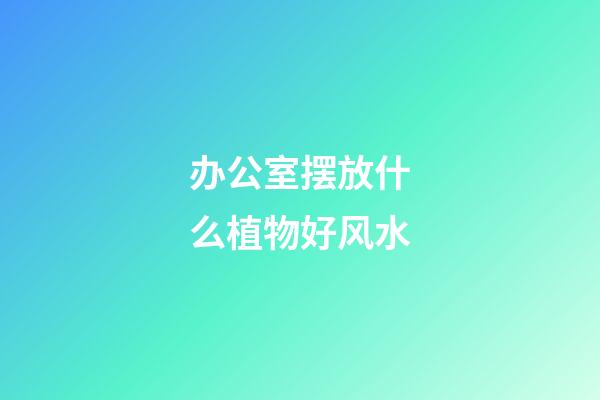 办公室摆放什么植物好风水