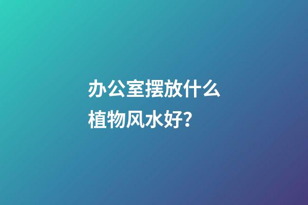 办公室摆放什么植物风水好？