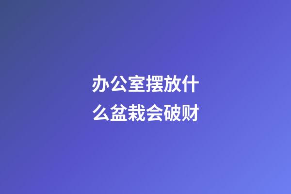 办公室摆放什么盆栽会破财