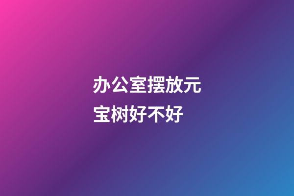 办公室摆放元宝树好不好
