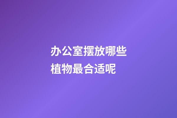 办公室摆放哪些植物最合适呢