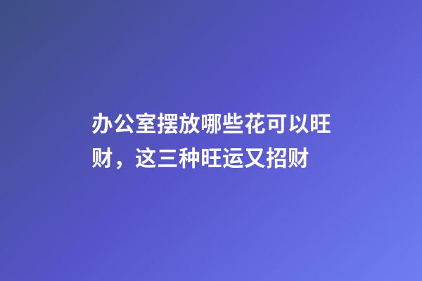 办公室摆放哪些花可以旺财，这三种旺运又招财