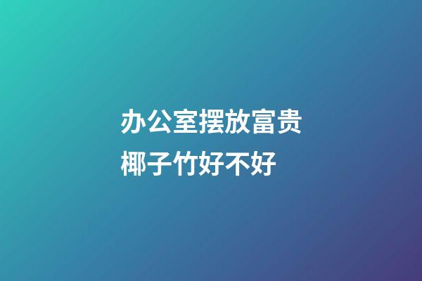 办公室摆放富贵椰子竹好不好