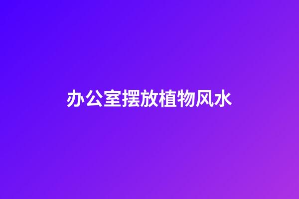 办公室摆放植物风水