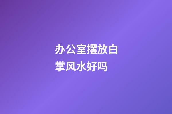 办公室摆放白掌风水好吗