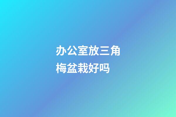 办公室放三角梅盆栽好吗