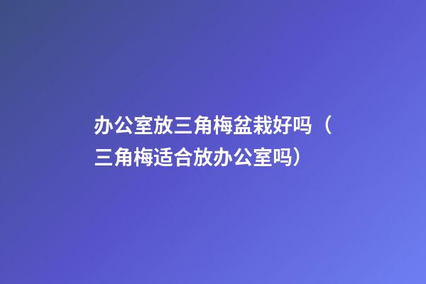 办公室放三角梅盆栽好吗（三角梅适合放办公室吗）