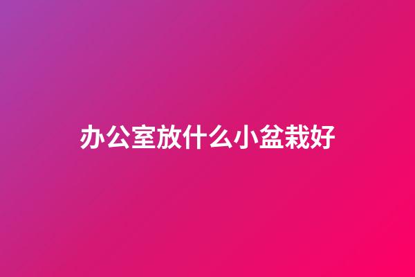 办公室放什么小盆栽好