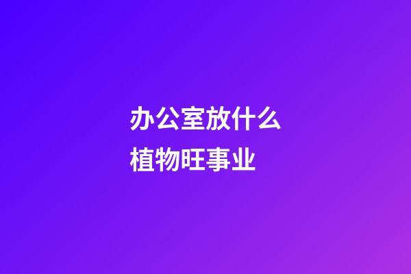 办公室放什么植物旺事业