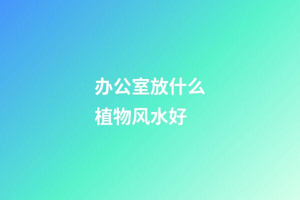 办公室放什么植物风水好