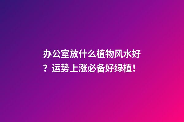 办公室放什么植物风水好？运势上涨必备好绿植！