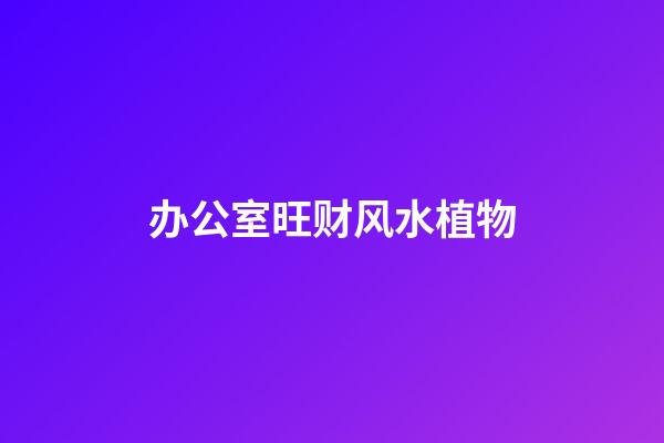 办公室旺财风水植物