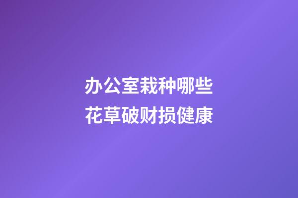 办公室栽种哪些花草破财损健康
