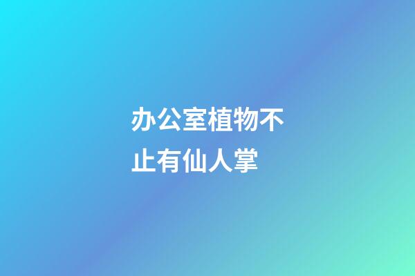 办公室植物不止有仙人掌