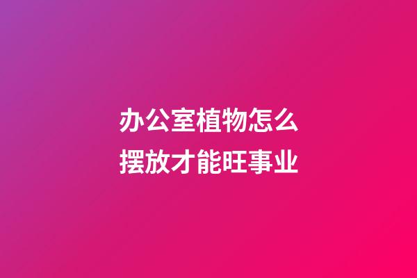办公室植物怎么摆放才能旺事业