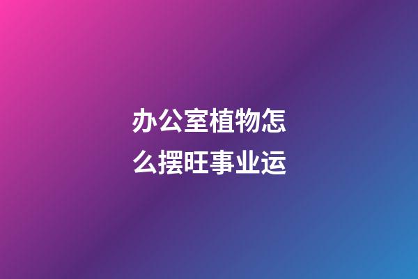 办公室植物怎么摆旺事业运