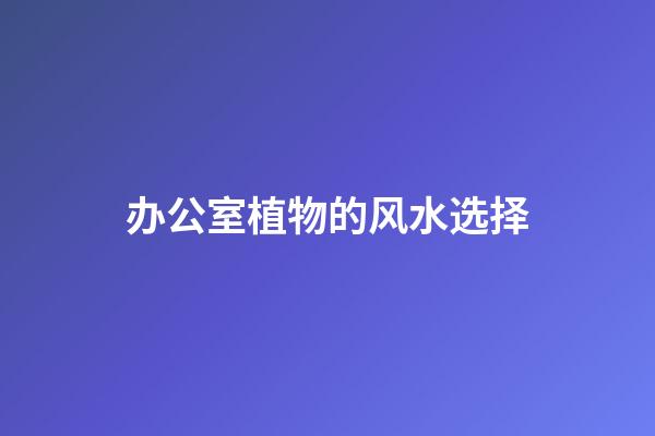 办公室植物的风水选择