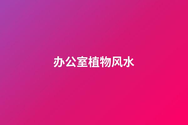 办公室植物风水