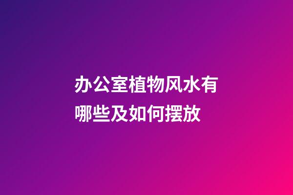 办公室植物风水有哪些及如何摆放