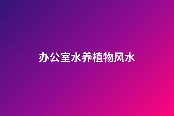 办公室水养植物风水
