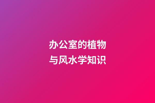 办公室的植物与风水学知识