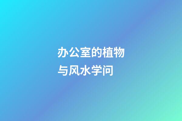 办公室的植物与风水学问