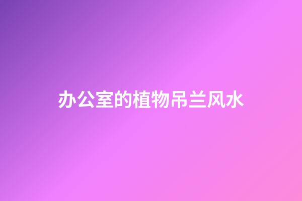 办公室的植物吊兰风水