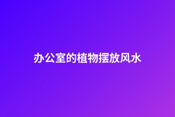 办公室的植物摆放风水