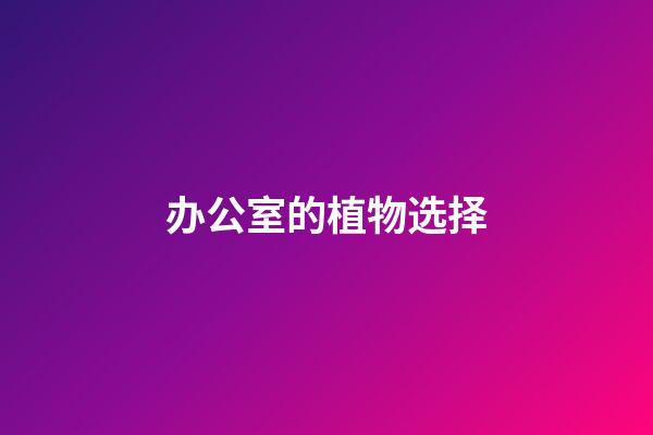办公室的植物选择
