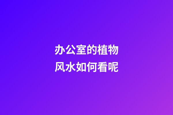 办公室的植物风水如何看呢